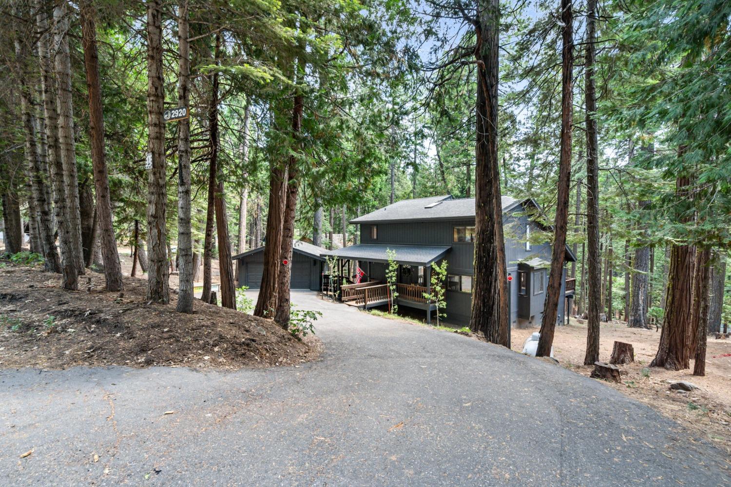 2920 Ute Place