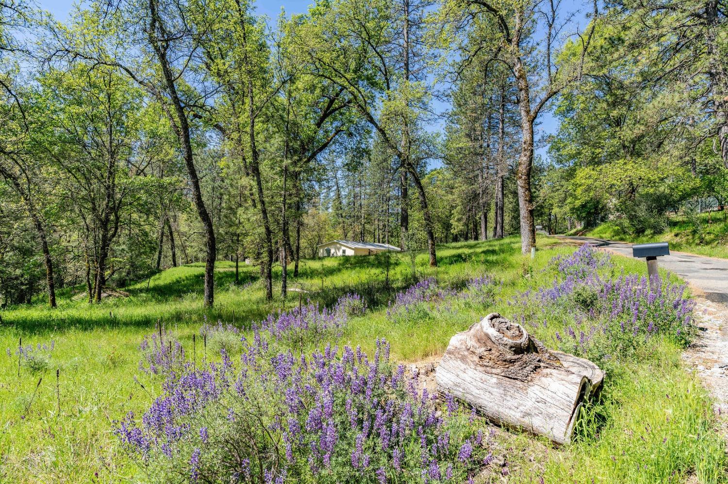121 Rabbits Foot Road
