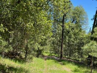 121 Rabbits Foot Road