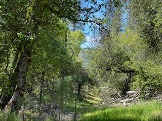 121 Rabbits Foot Road