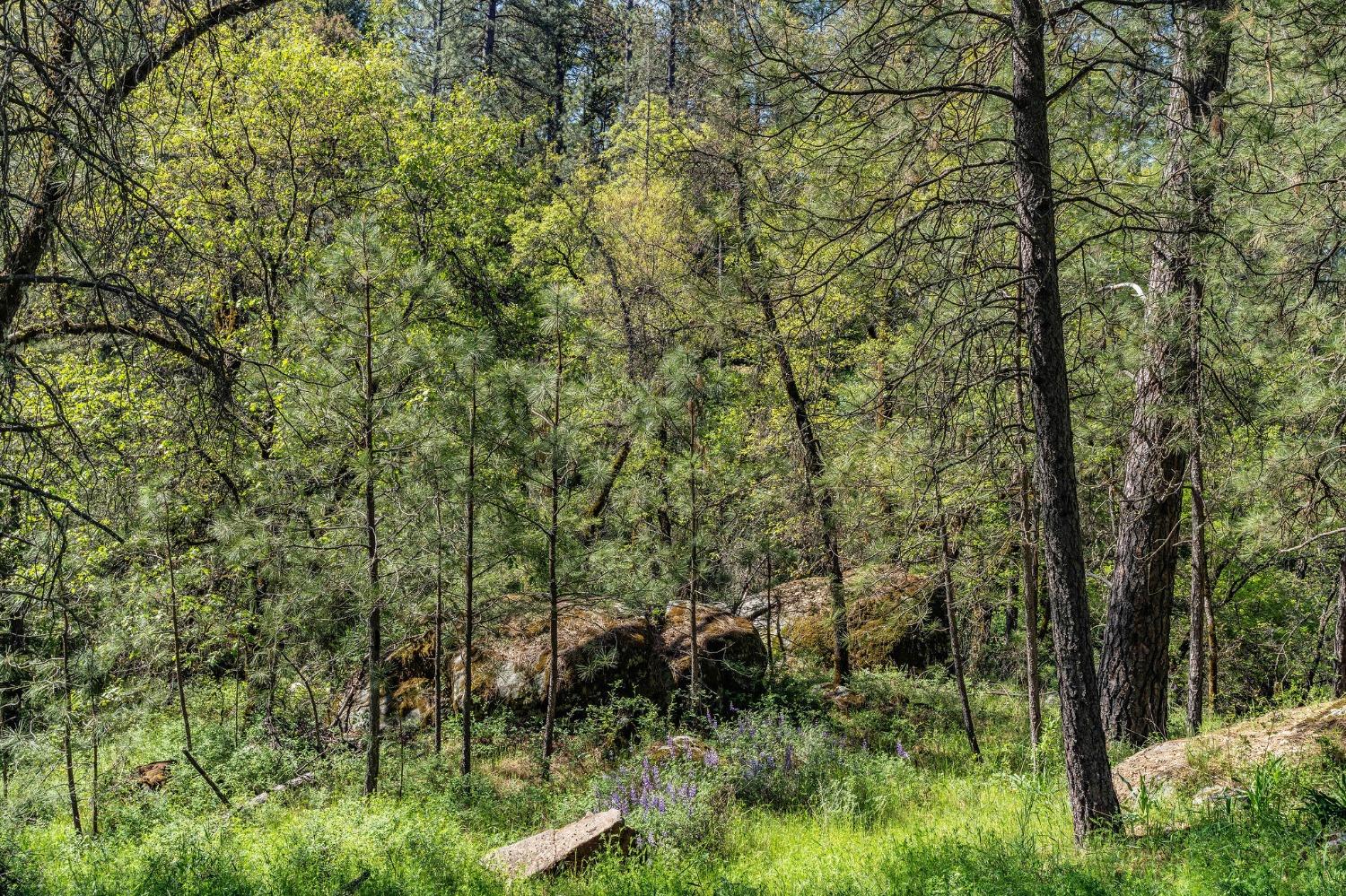 121 Rabbits Foot Road