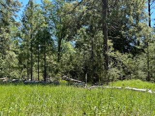 121 Rabbits Foot Road