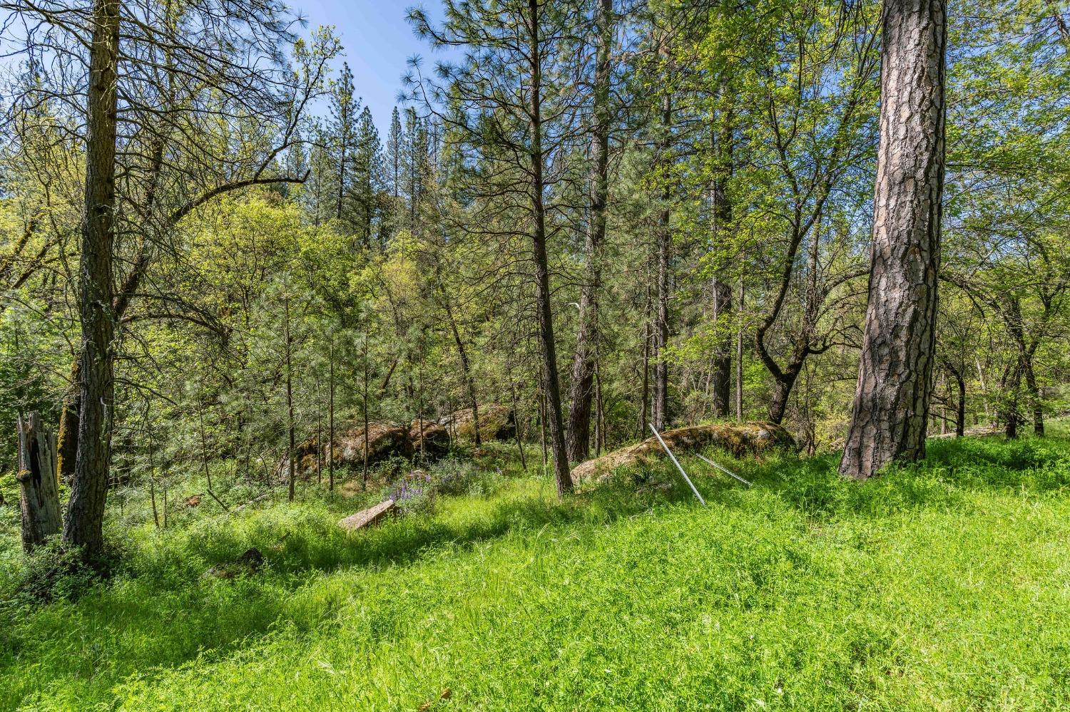 121 Rabbits Foot Road