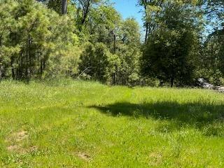 121 Rabbits Foot Road