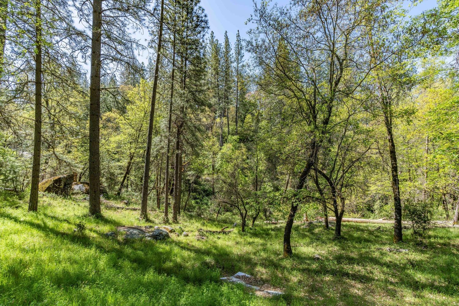 121 Rabbits Foot Road
