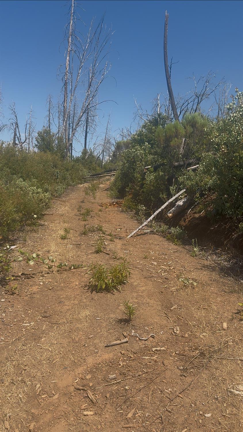 17074 Betty Kaye Lane