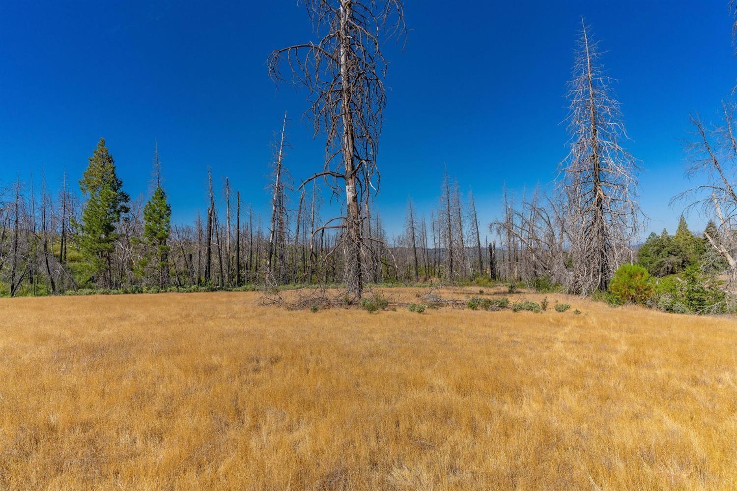 17074 Betty Kaye Lane