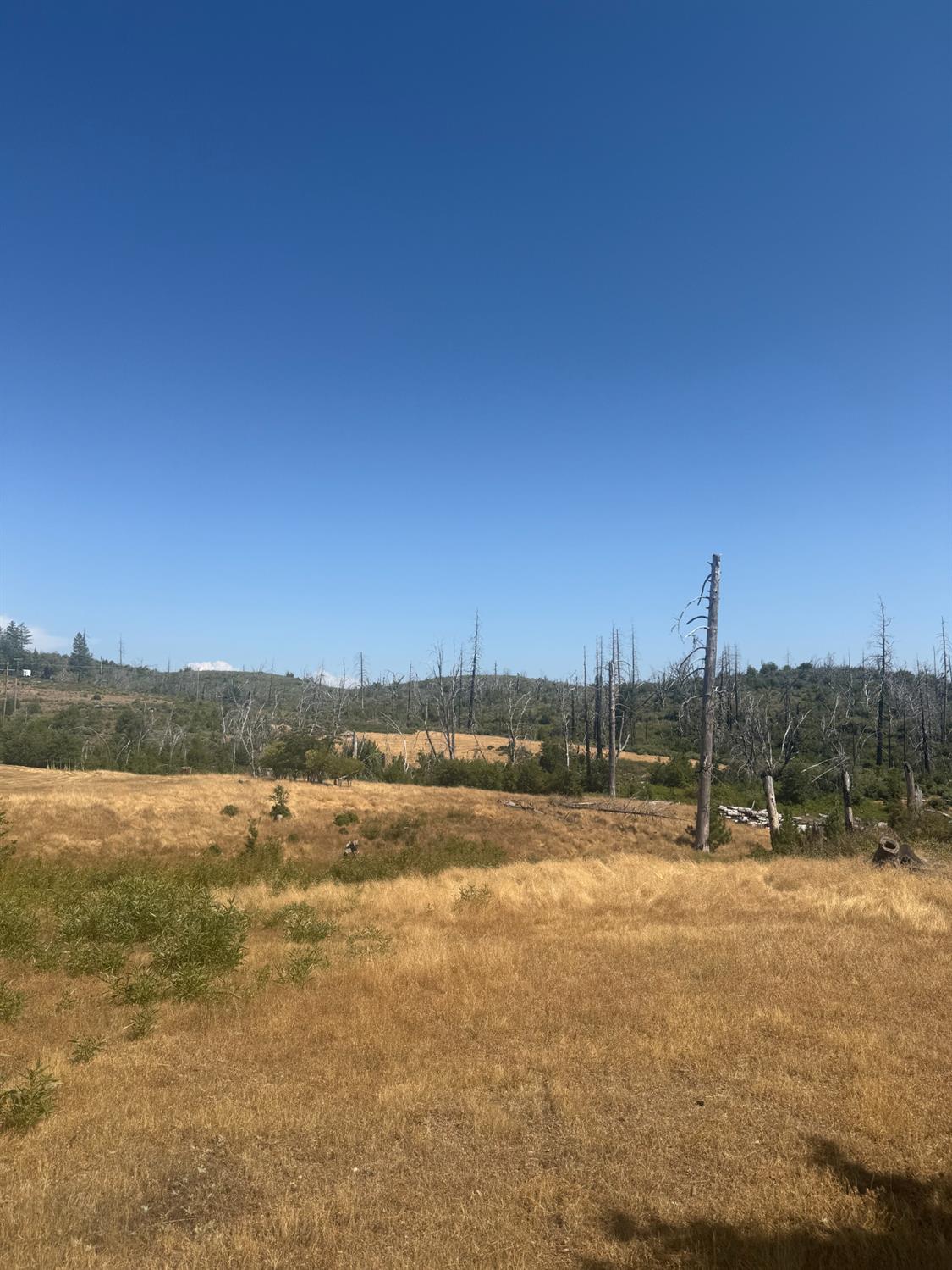 17074 Betty Kaye Lane