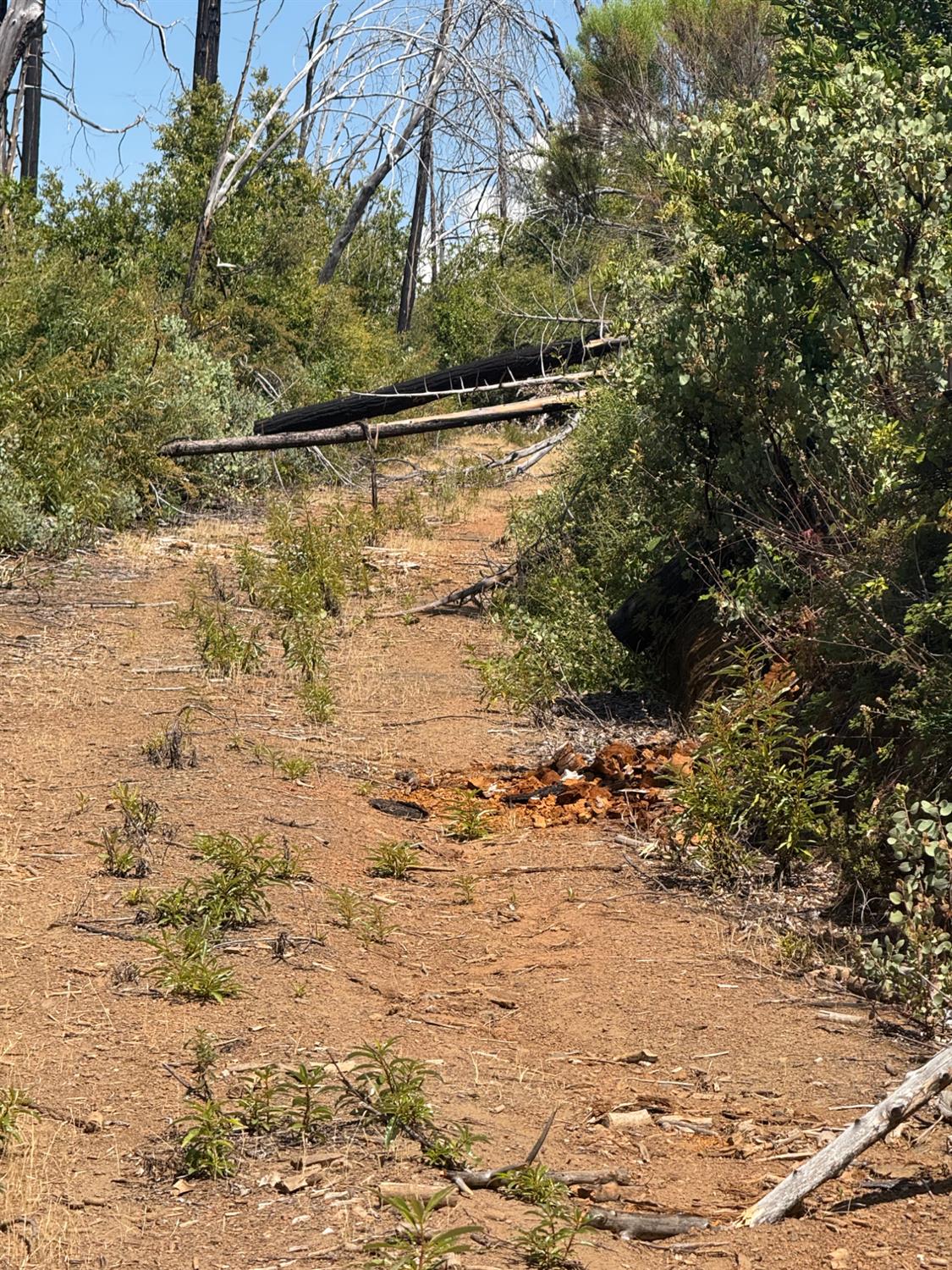 17074 Betty Kaye Lane