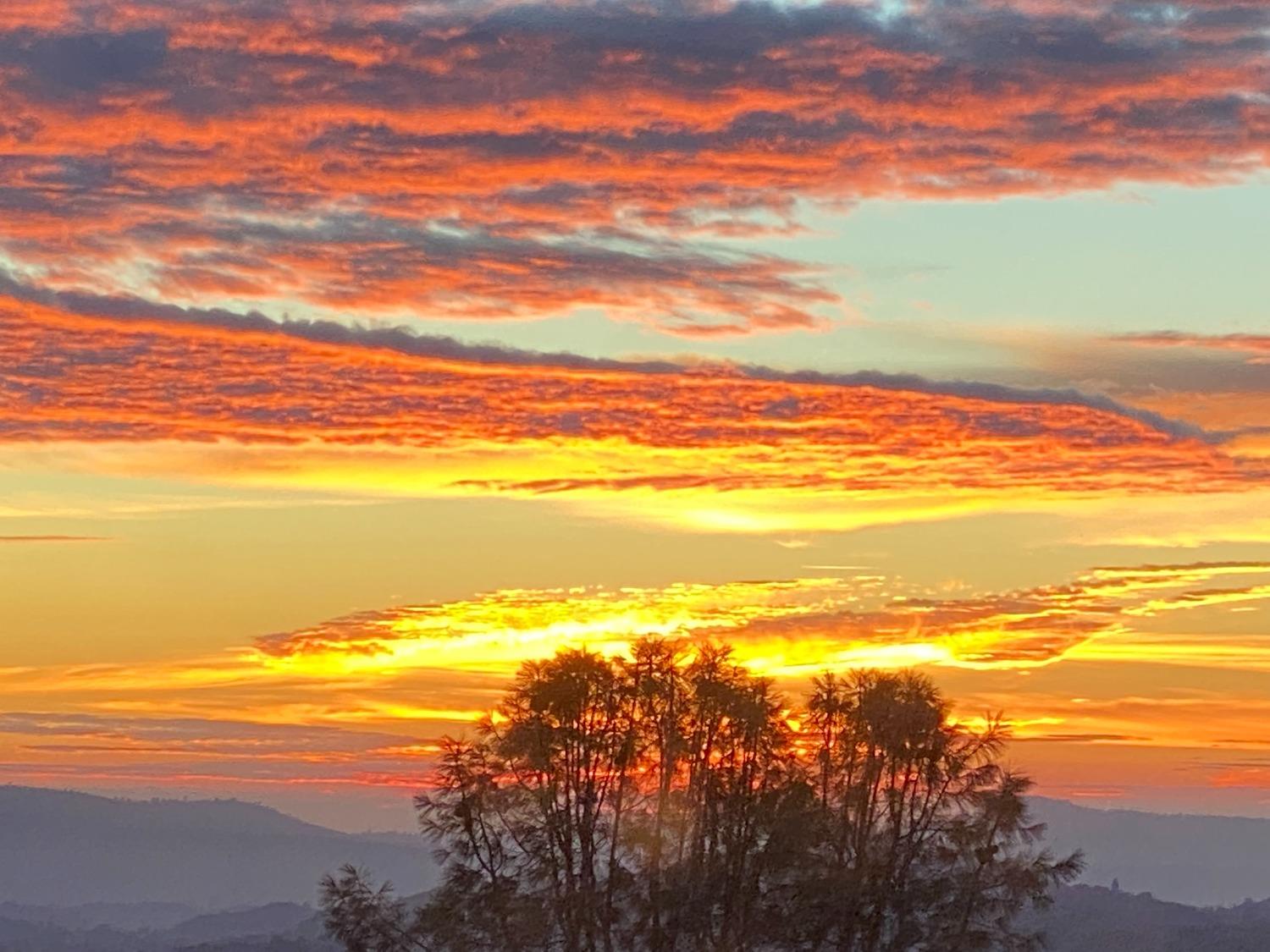 3204 Skunk Ranch Road