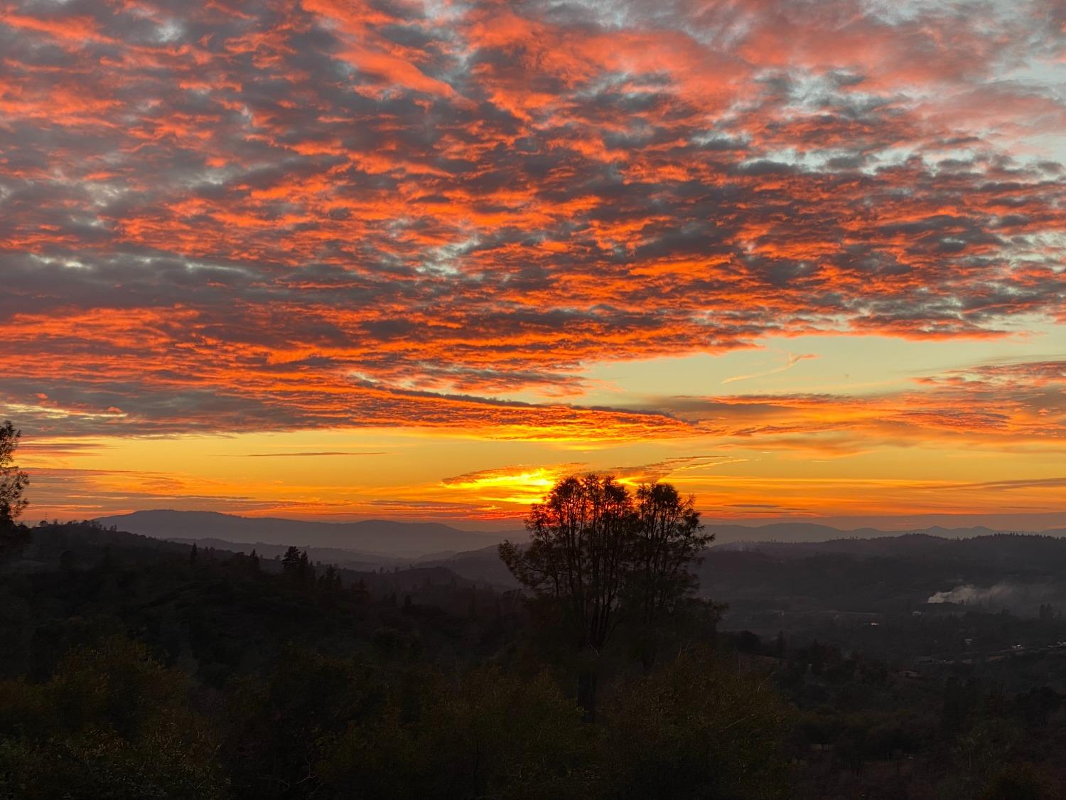 3204 Skunk Ranch Road