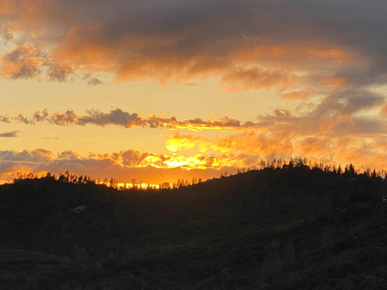 3204 Skunk Ranch Road