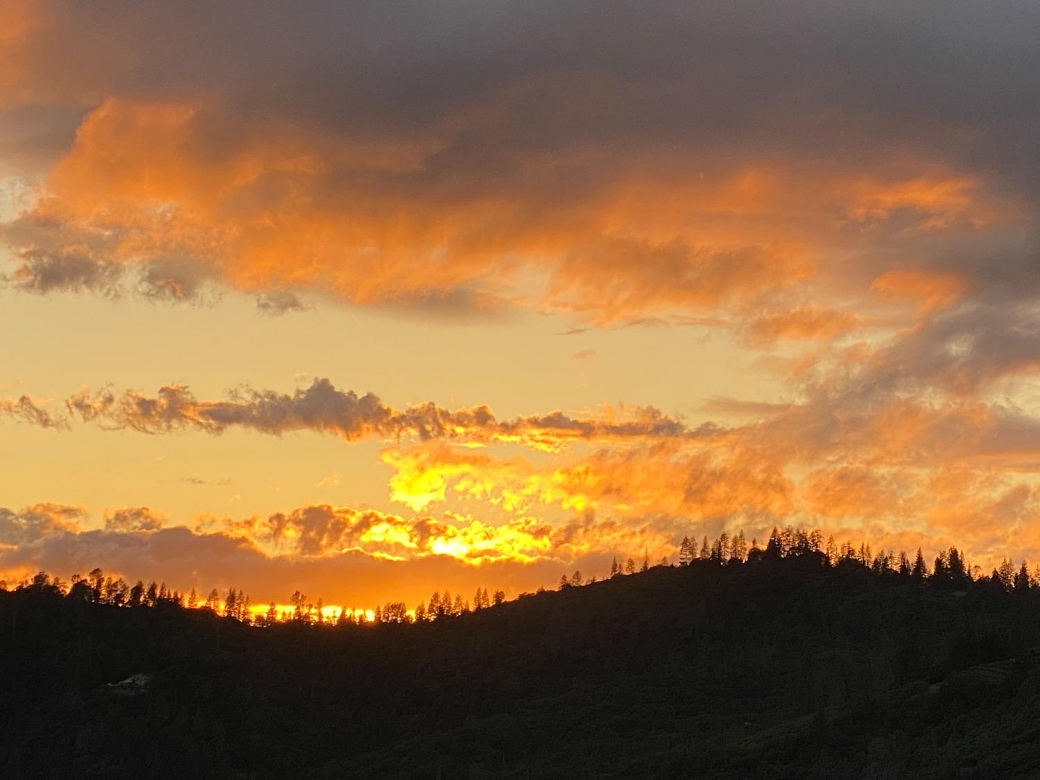 3204 Skunk Ranch Road