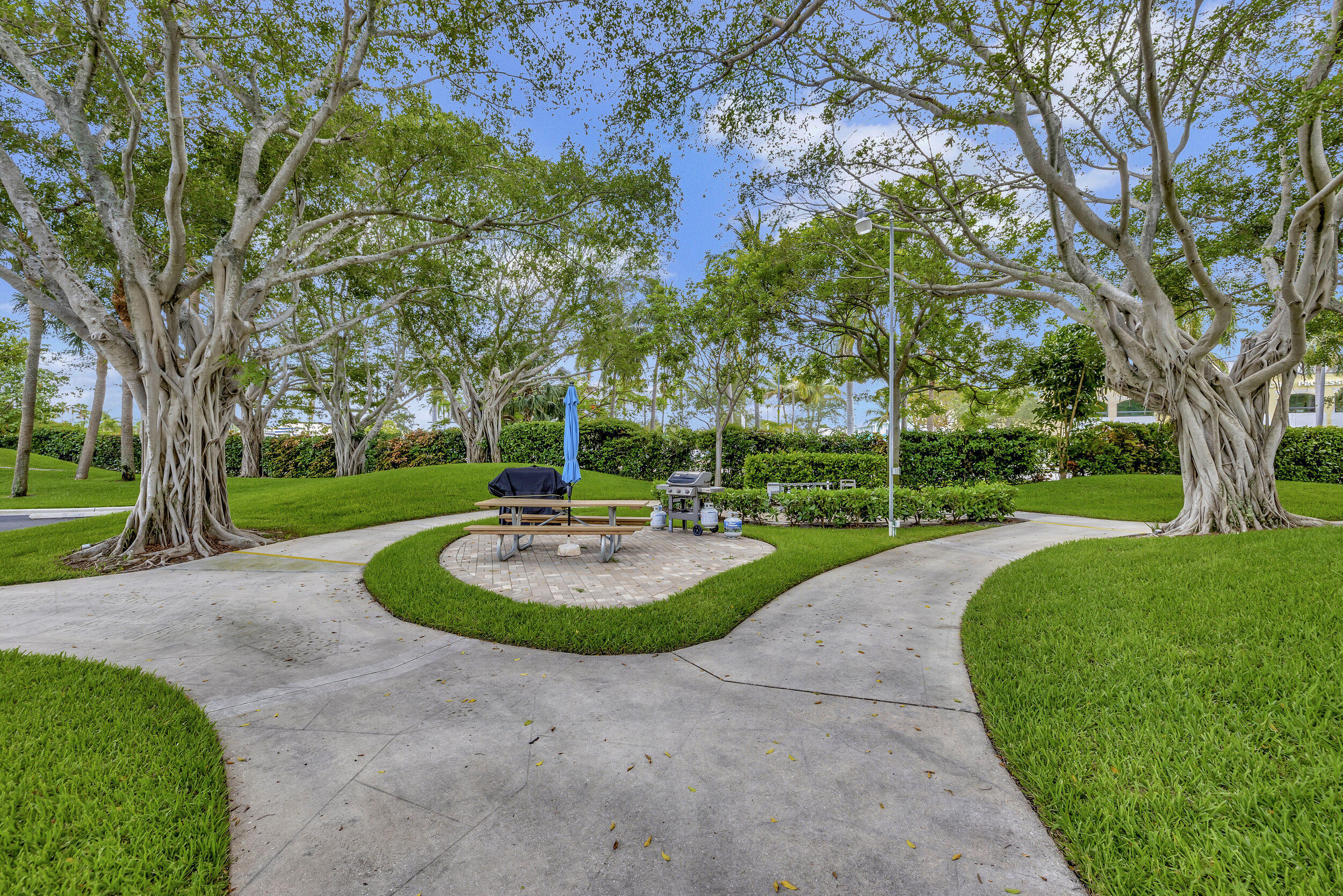 1537 E Hillsboro Boulevard 239