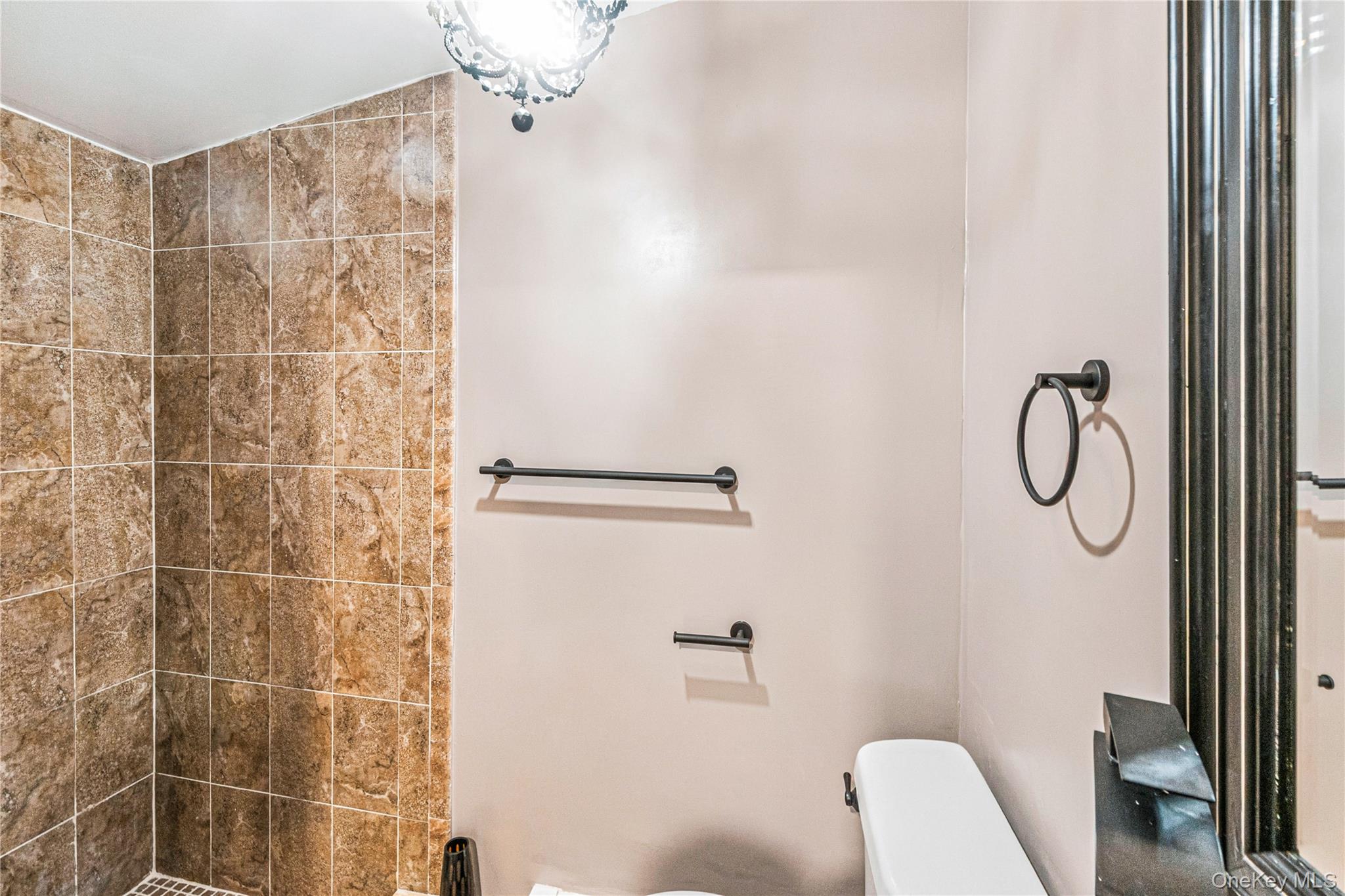 155 Moriches Avenue Unit: 2