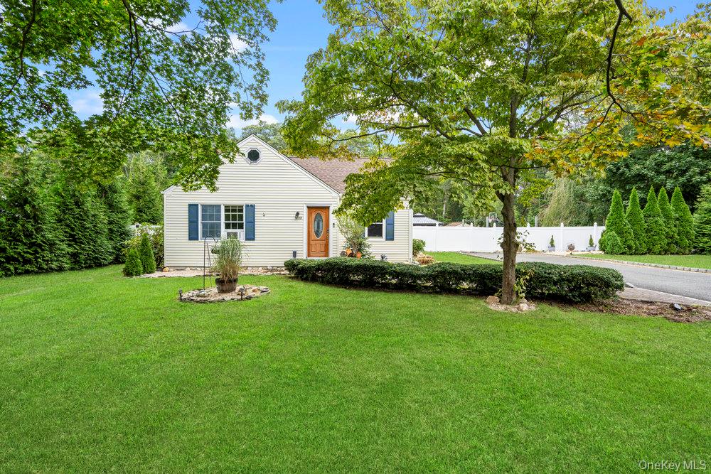 35 Robinson Avenue