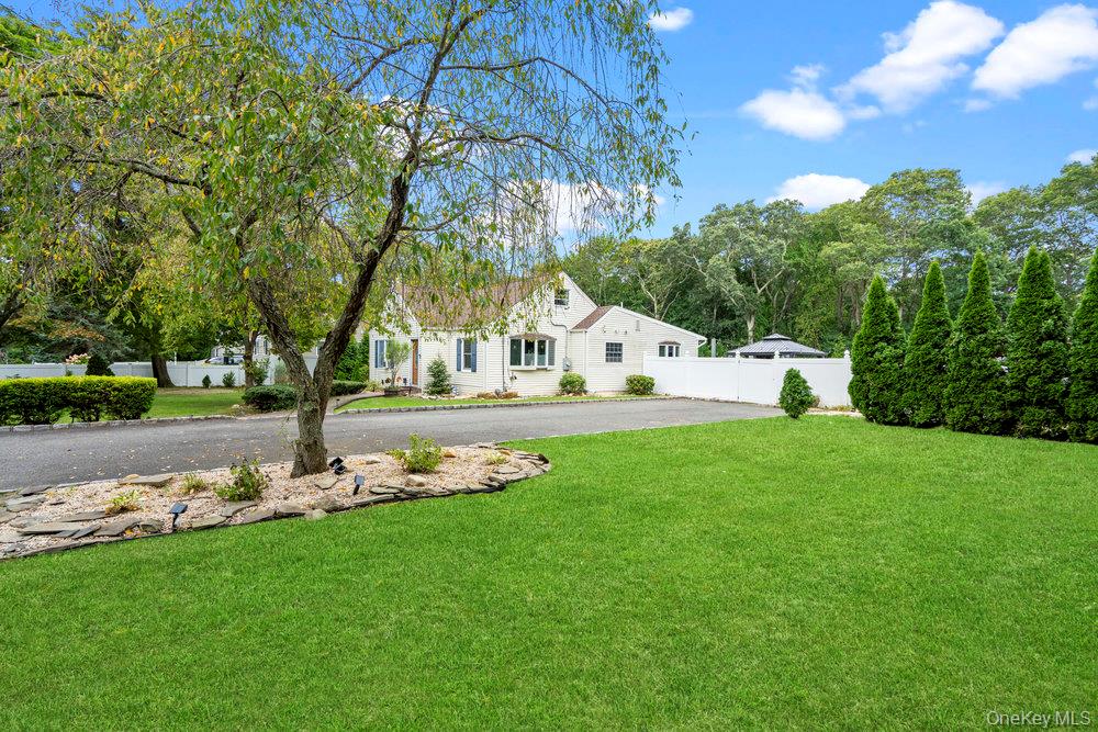 35 Robinson Avenue