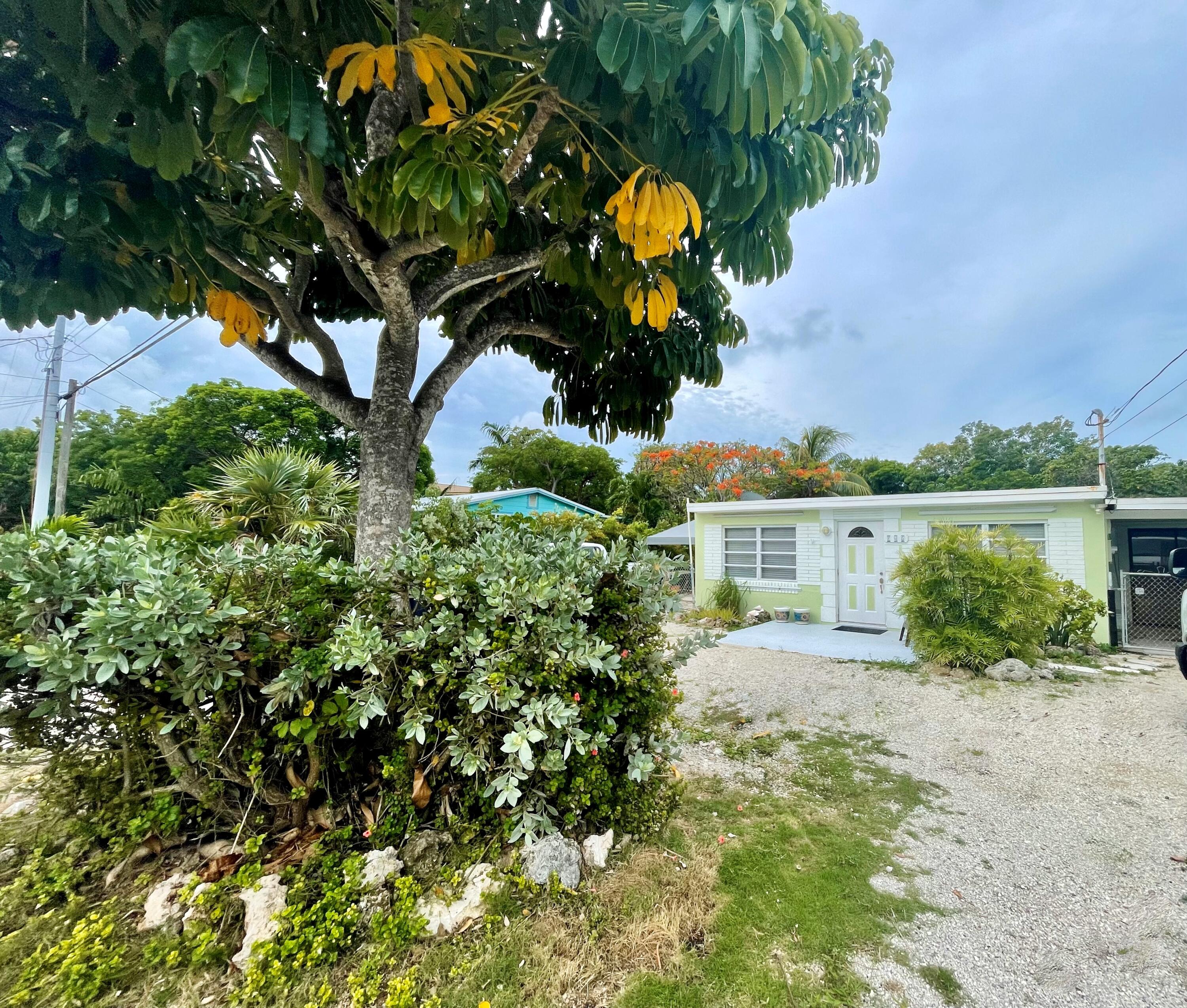 246 Guava Avenue