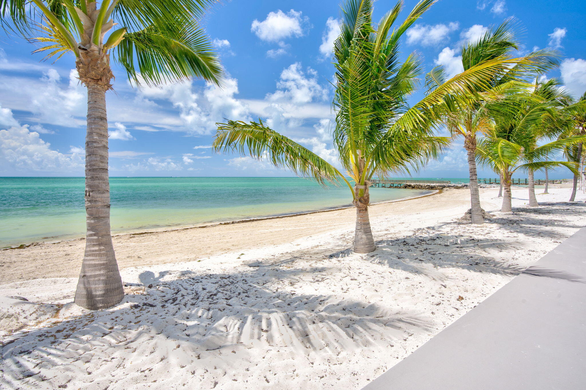 755 W Ocean Drive Unit: 5