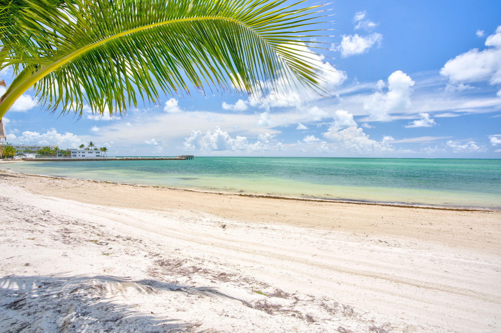 755 W Ocean Drive Unit: 5