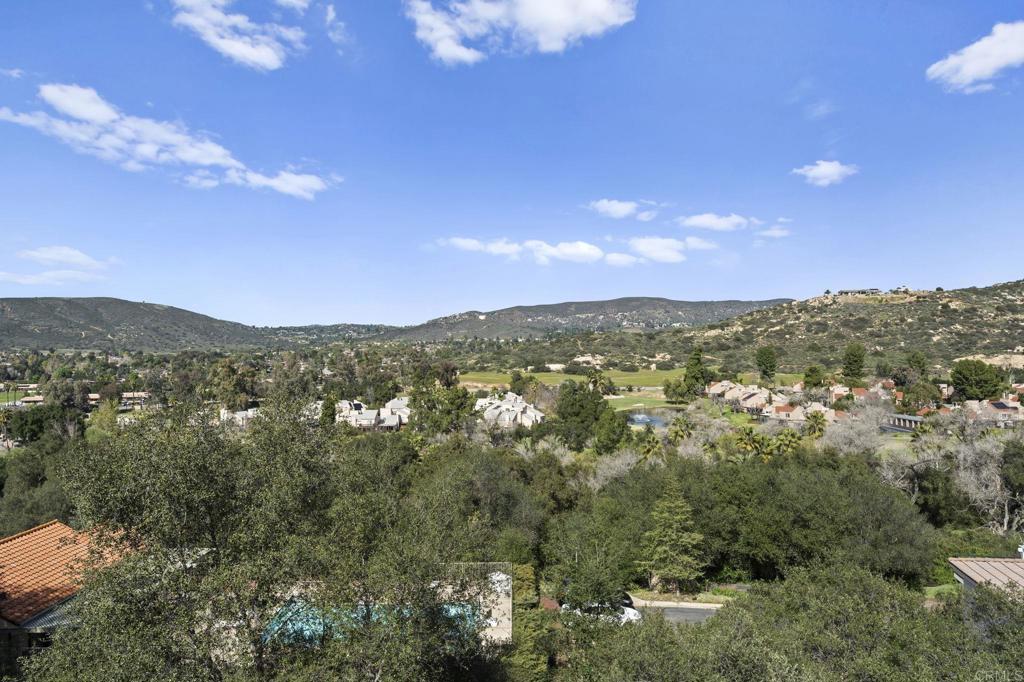 15615 Vista Vicente Drive 18