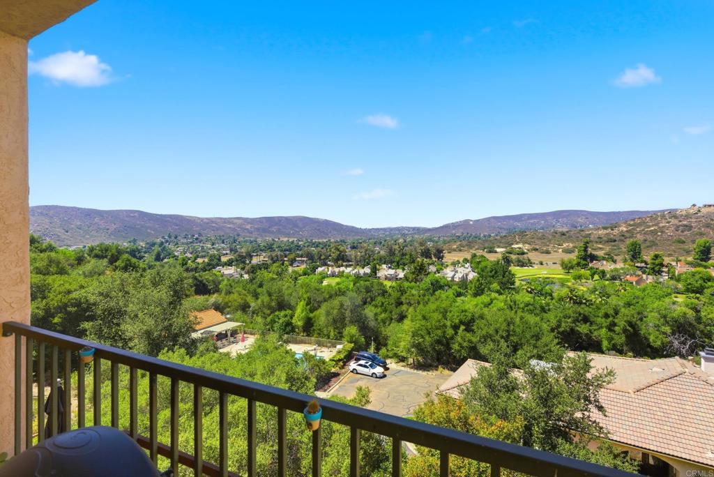 15615 Vista Vicente Drive 17