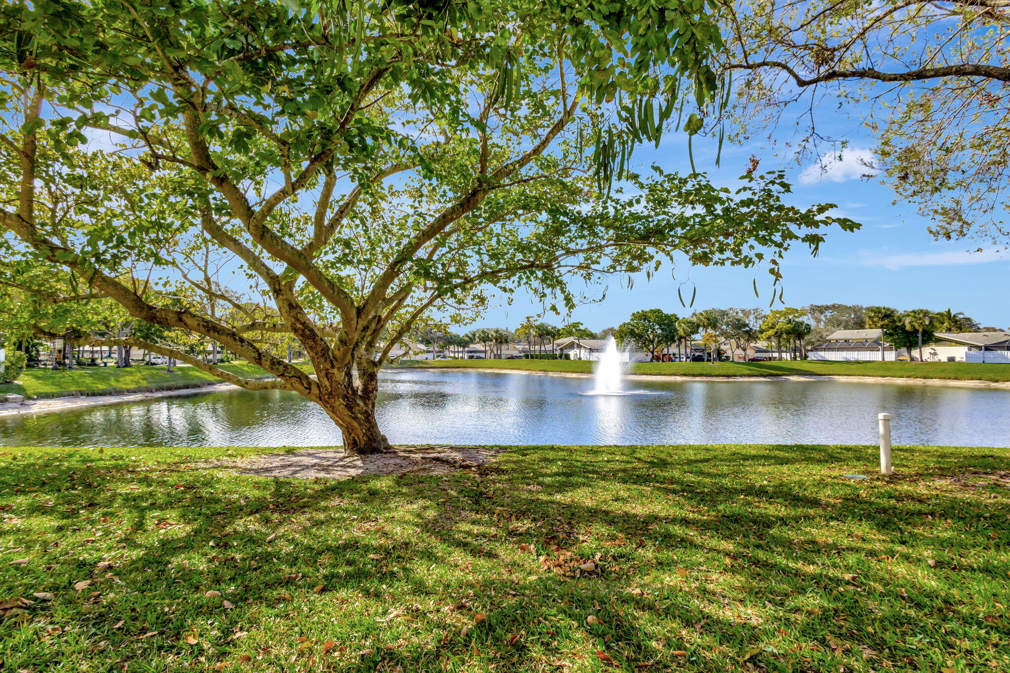 12807 Woodmill Drive