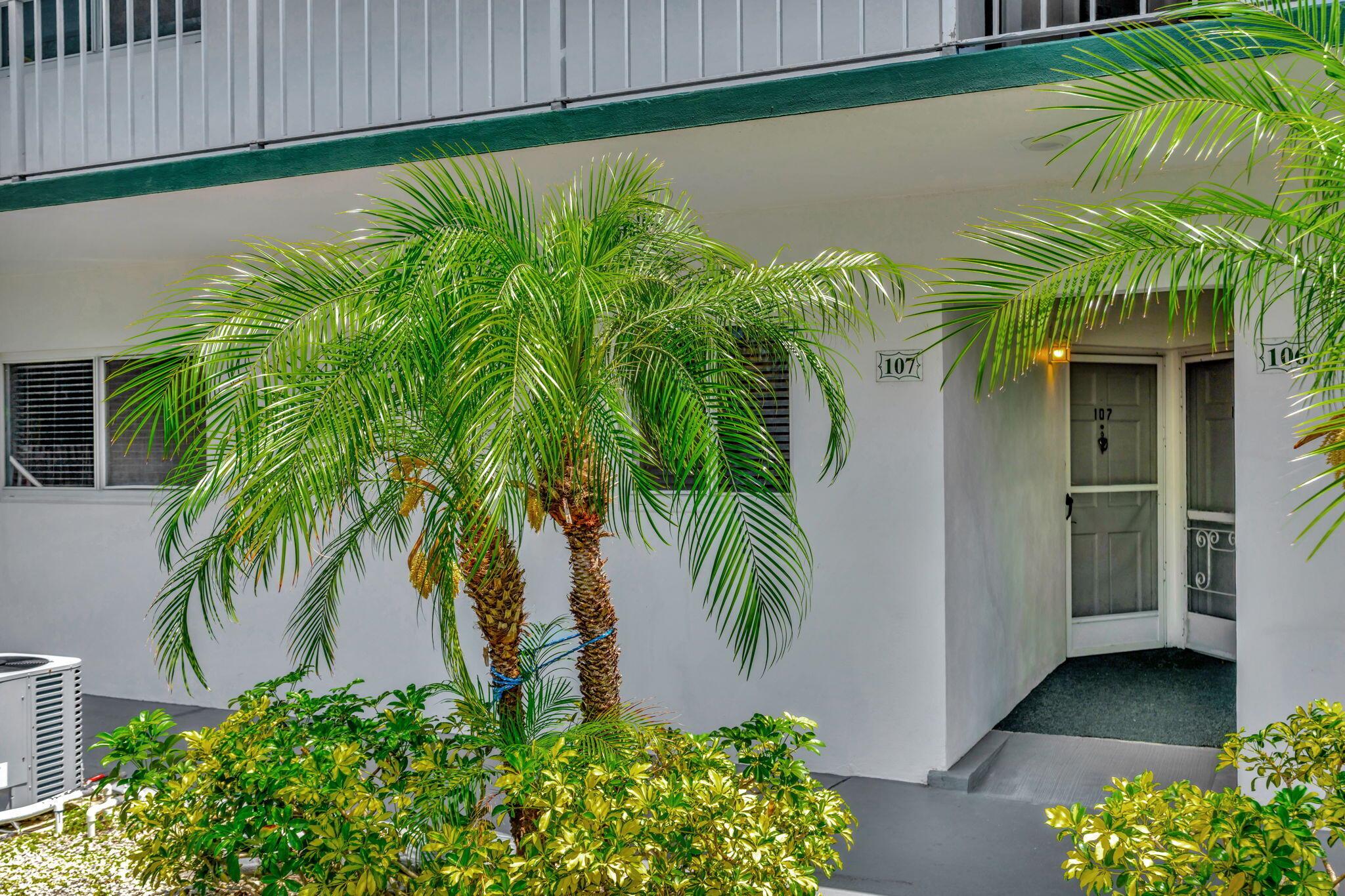 4 Garden Street 107n
