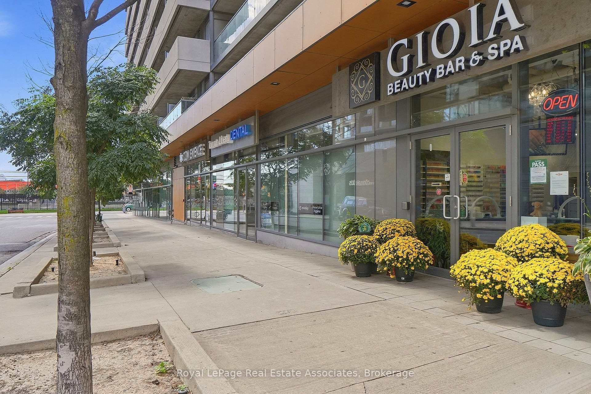 20 Joe Shuster Way 416, Toronto Unit: 416