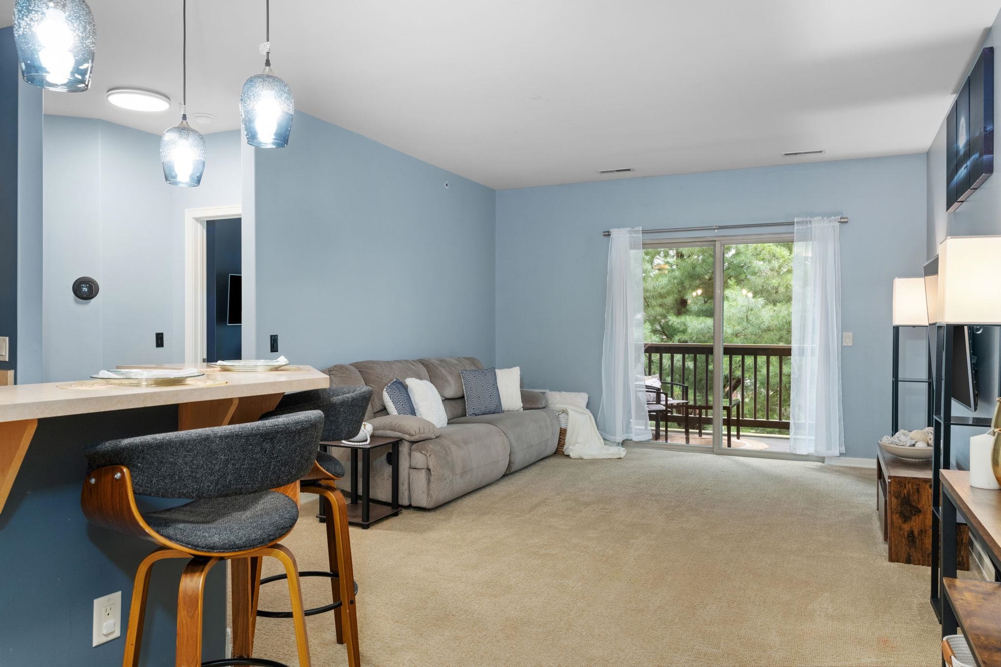 5196 Sassafras Drive 205
