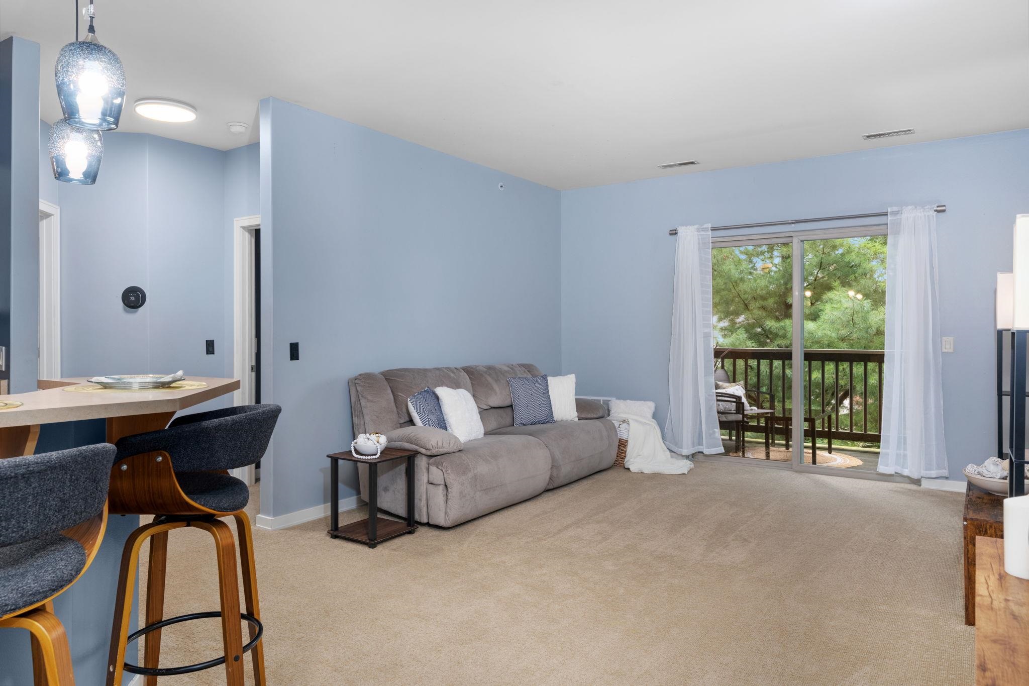 5196 Sassafras Drive 205