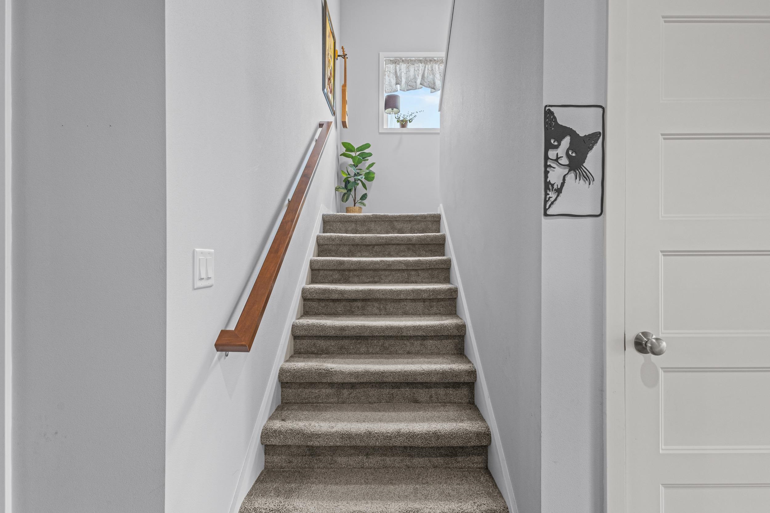 1317 Black Stallion Drive