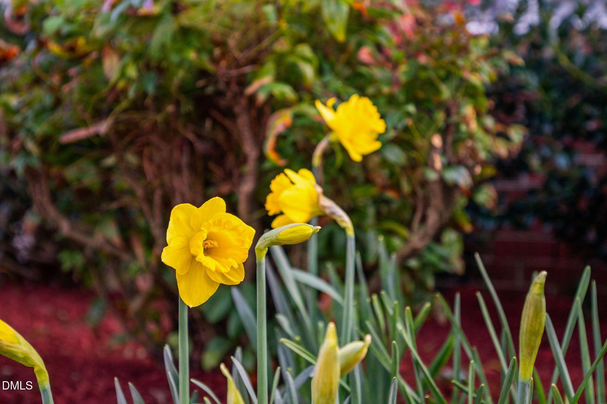 5223 Center Church Road