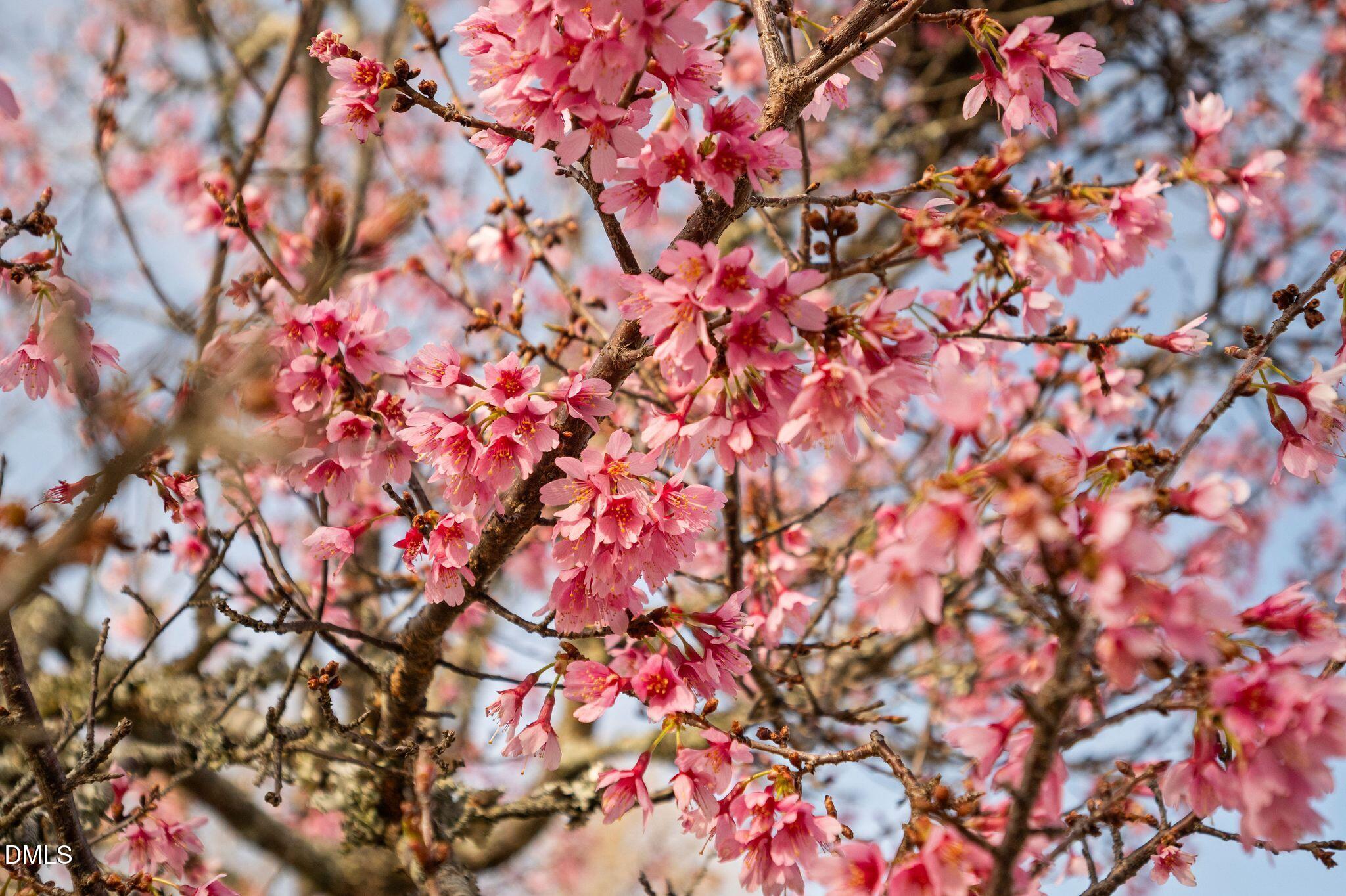 5223 Center Church Road