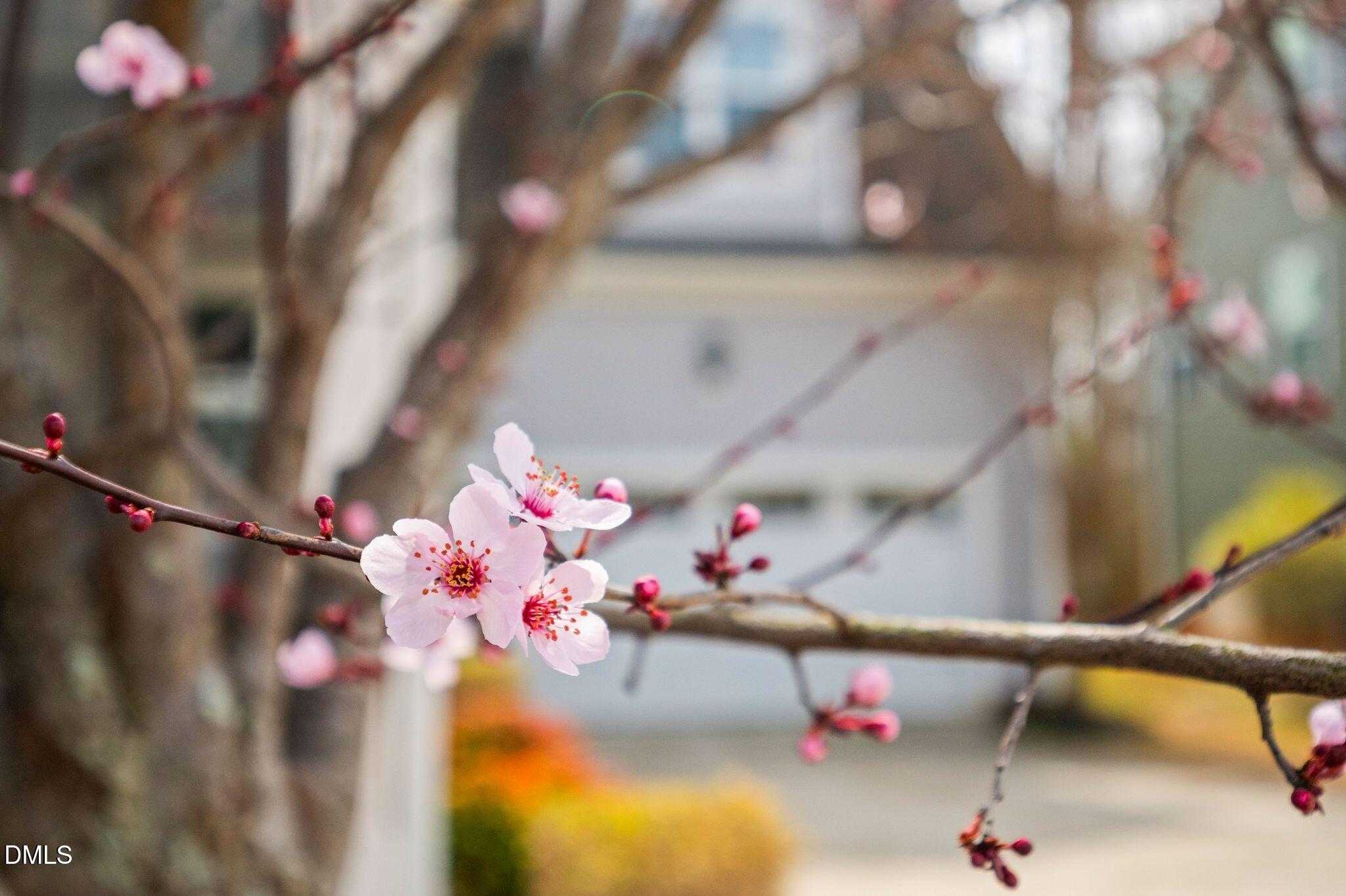 528 Spring Flower Court