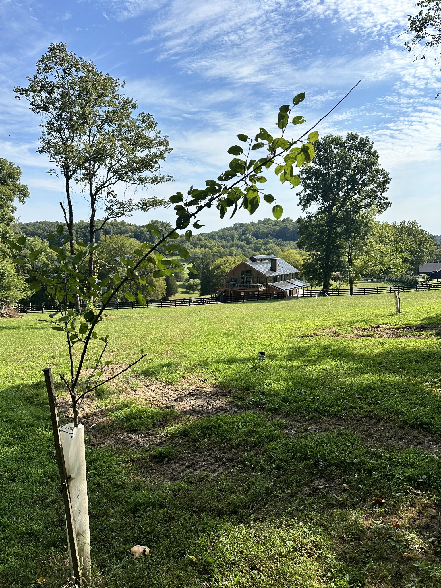 Rural home beyond a fenced pasture, surrounded by mature trees and wooded hills.