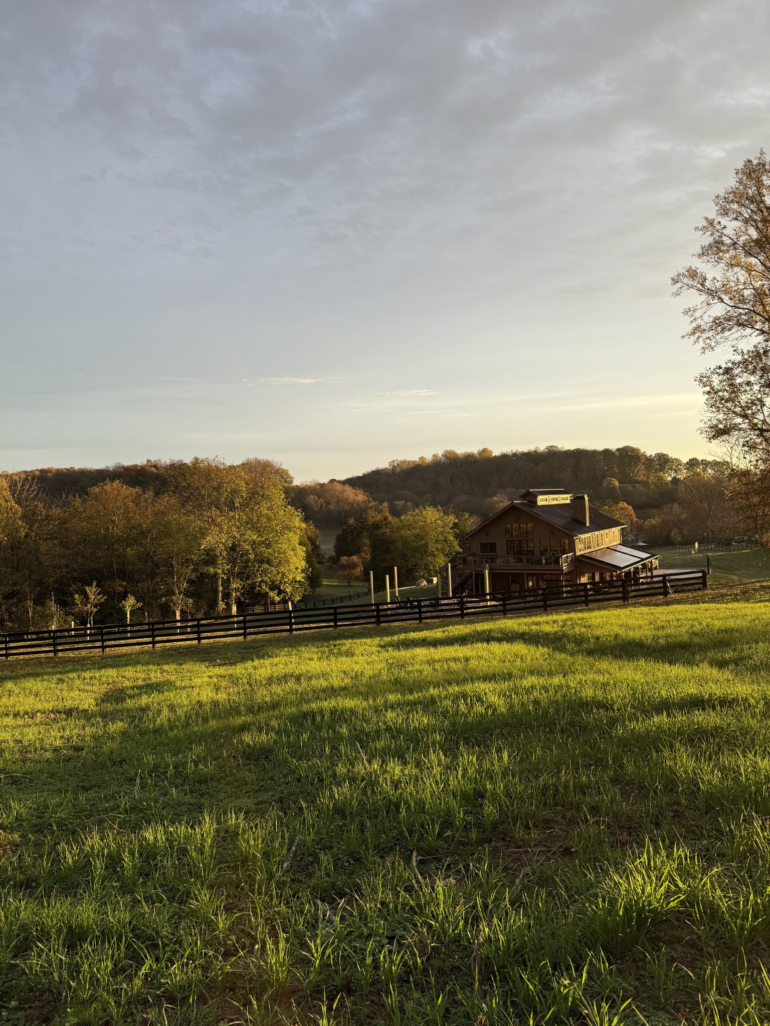 Country home on a grassy hillside, with black fencing and wooded hills in warm evening light.