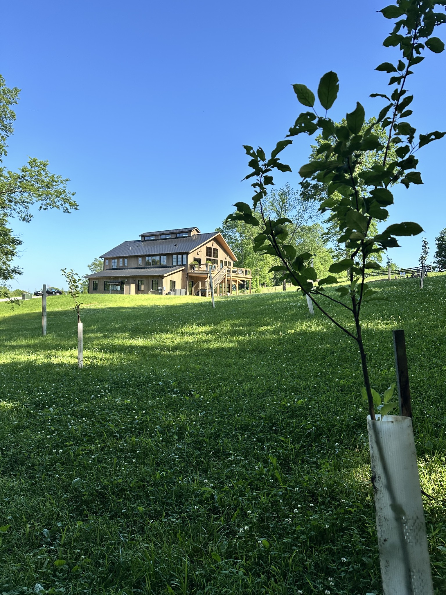 Wood-sided two-story home with an elevated deck on a grassy slope, framed by young trees.