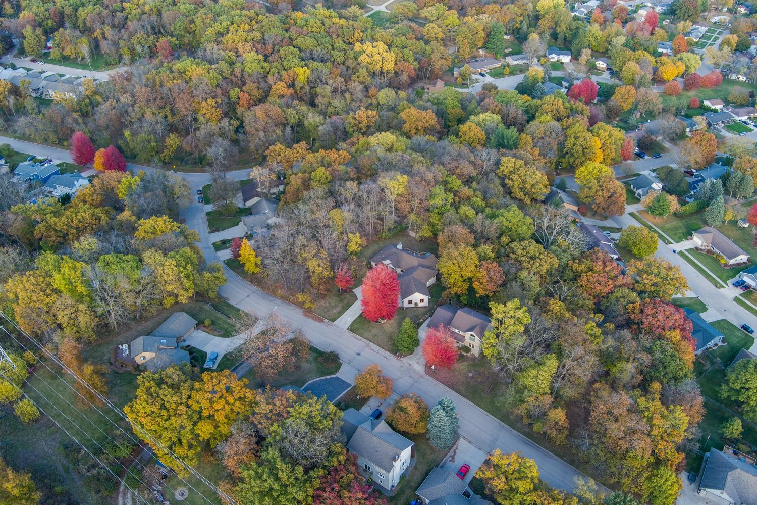 1506 Winchester Place