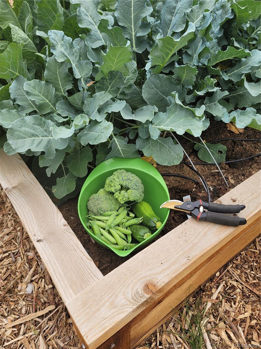 1401 Garrison Street