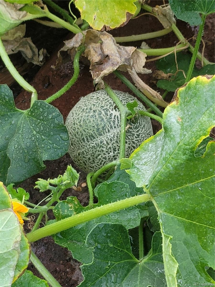 1401 Garrison Street