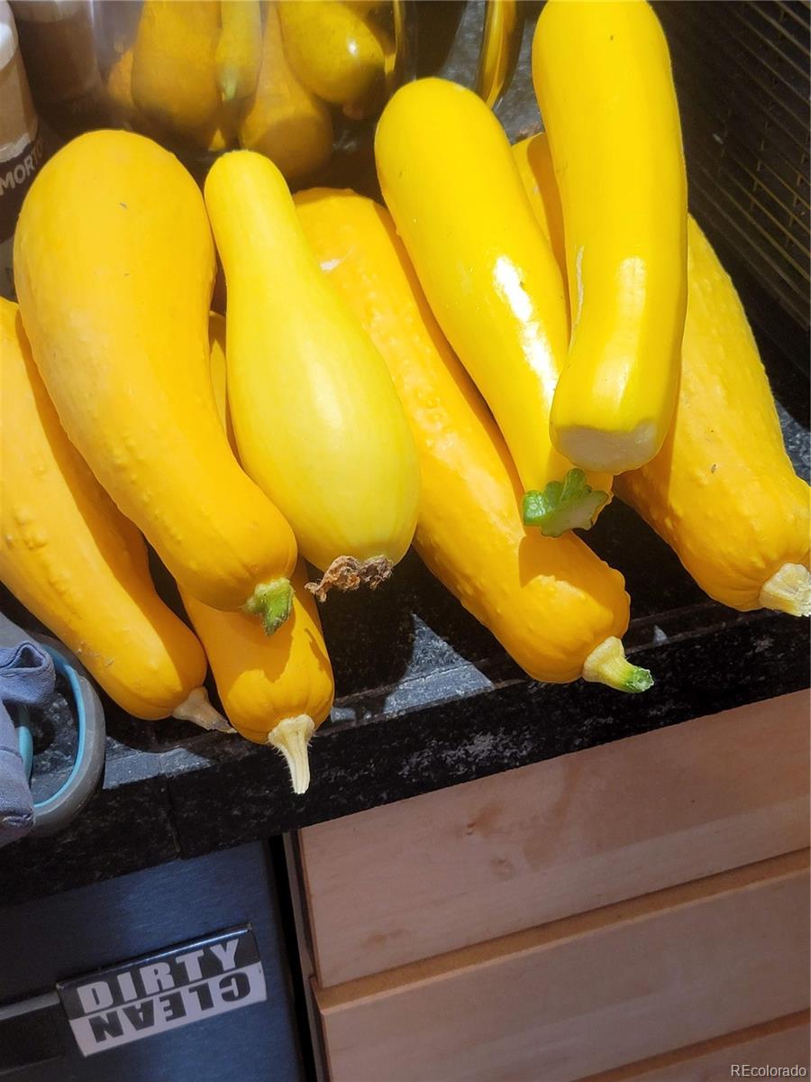 1401 Garrison Street