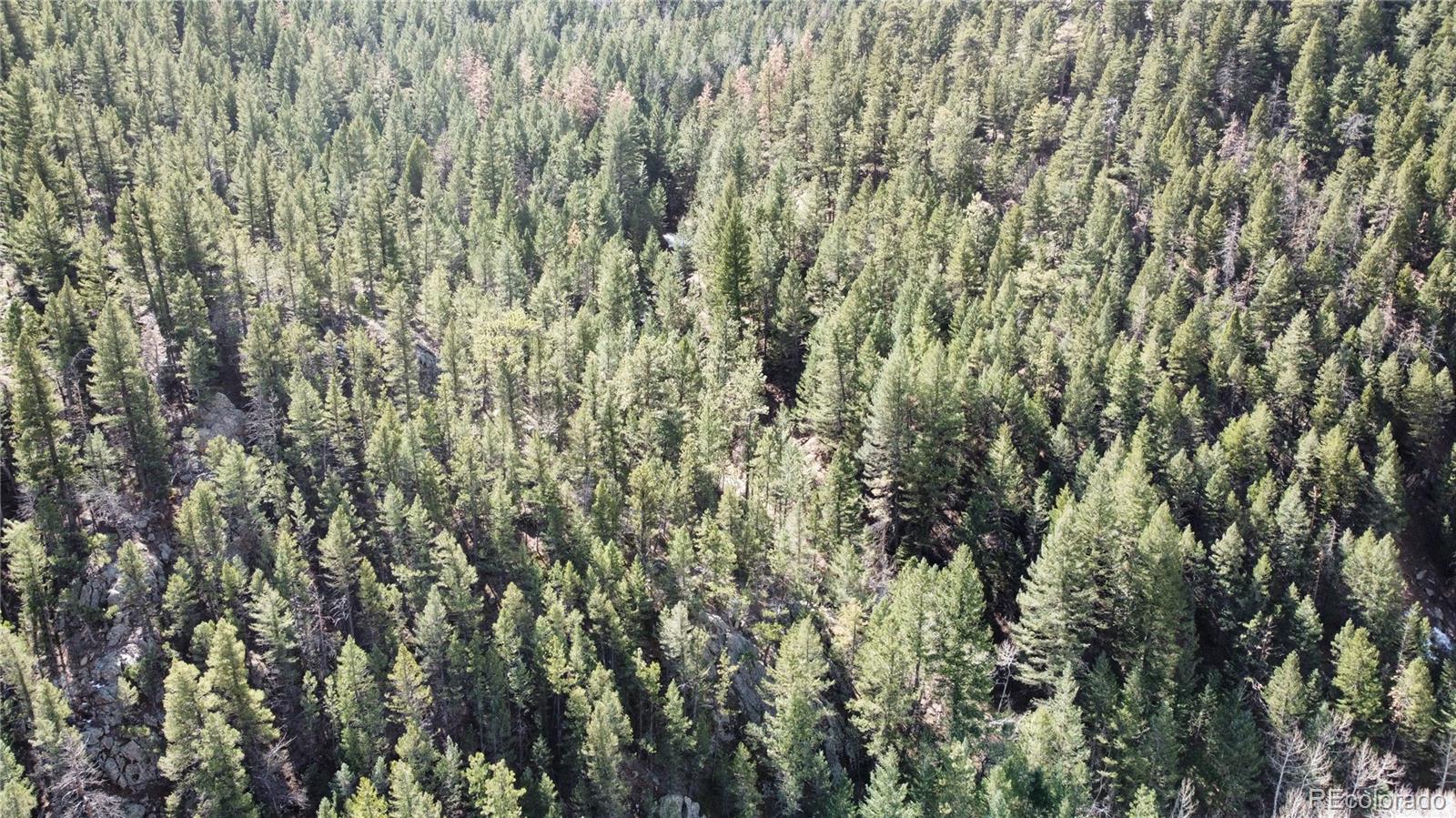 7893 Fourmile Canyon Drive