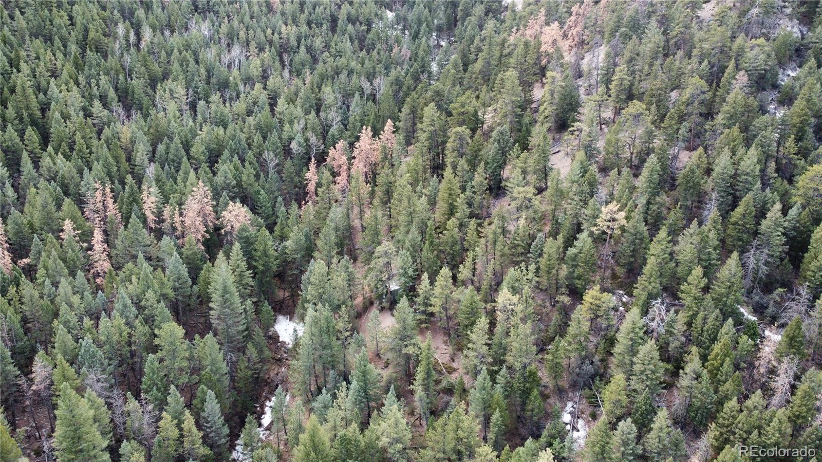 7893 Fourmile Canyon Drive