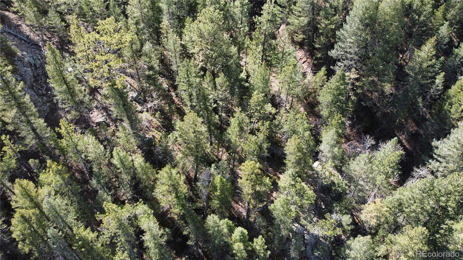 7893 Fourmile Canyon Drive