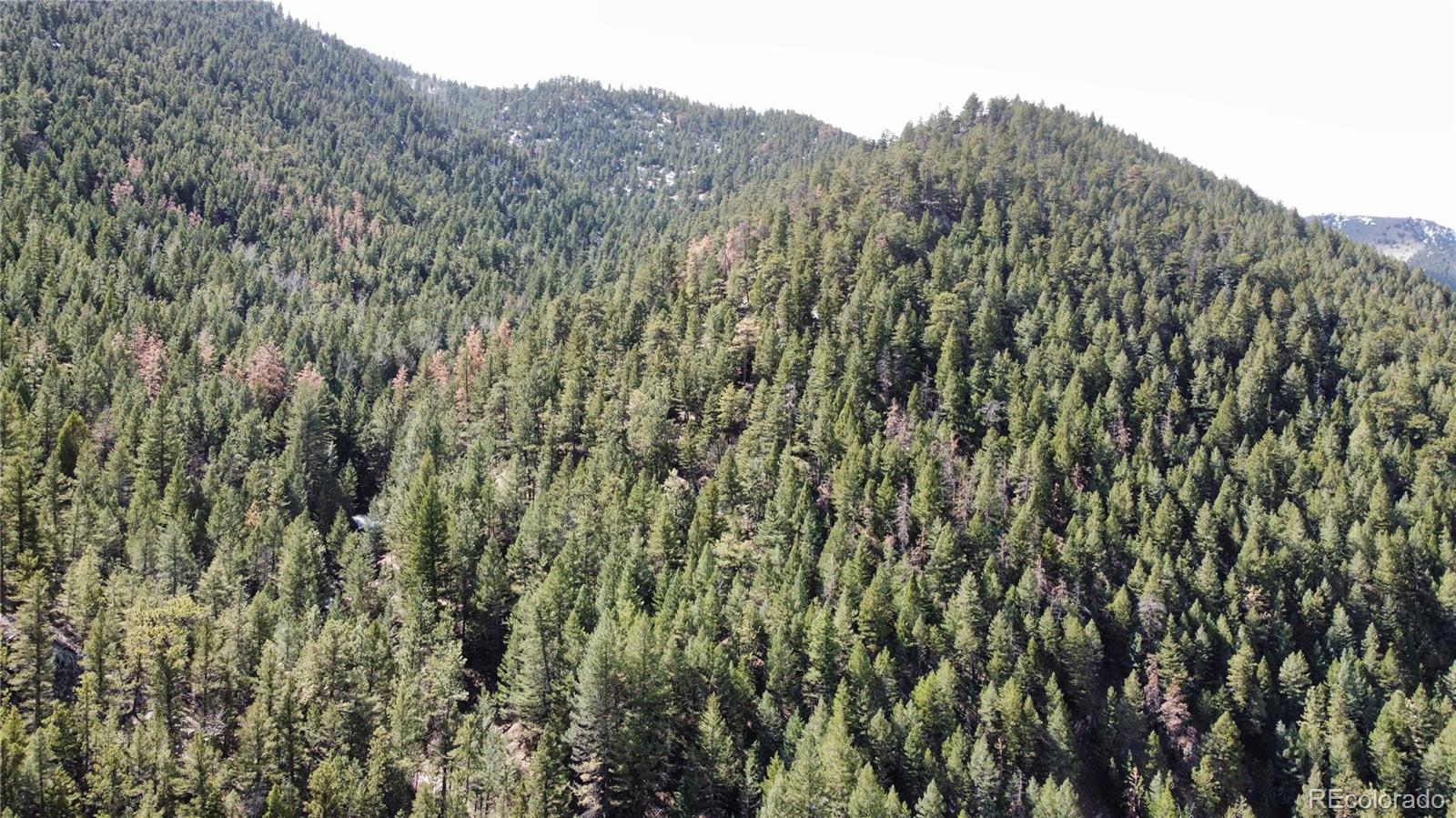 7893 Fourmile Canyon Drive Boulder Co Us 80302 Rec8292506