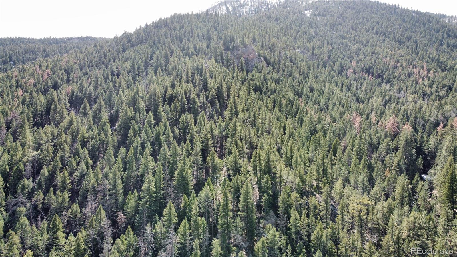 7893 Fourmile Canyon Drive