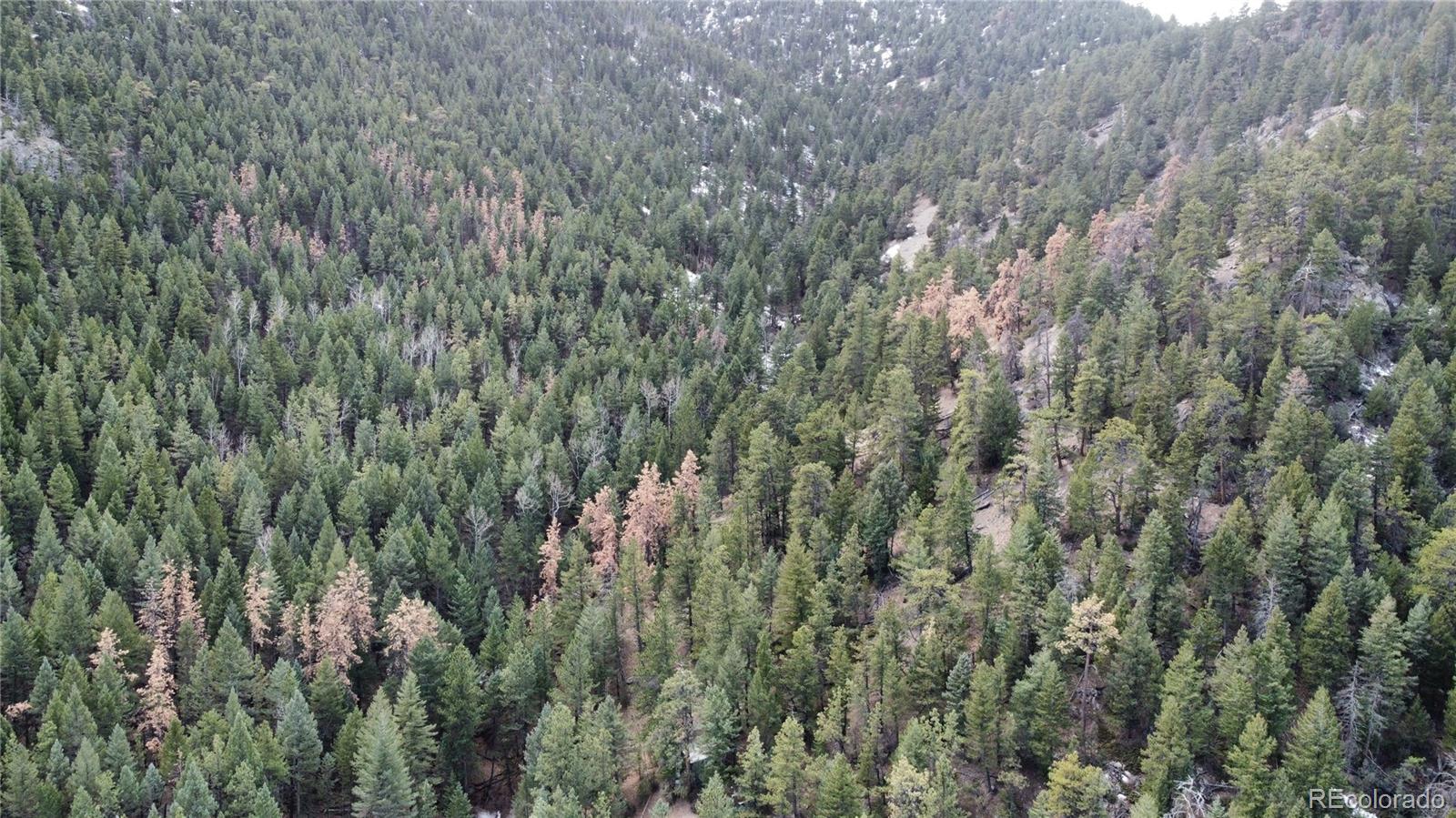 7893 Fourmile Canyon Drive