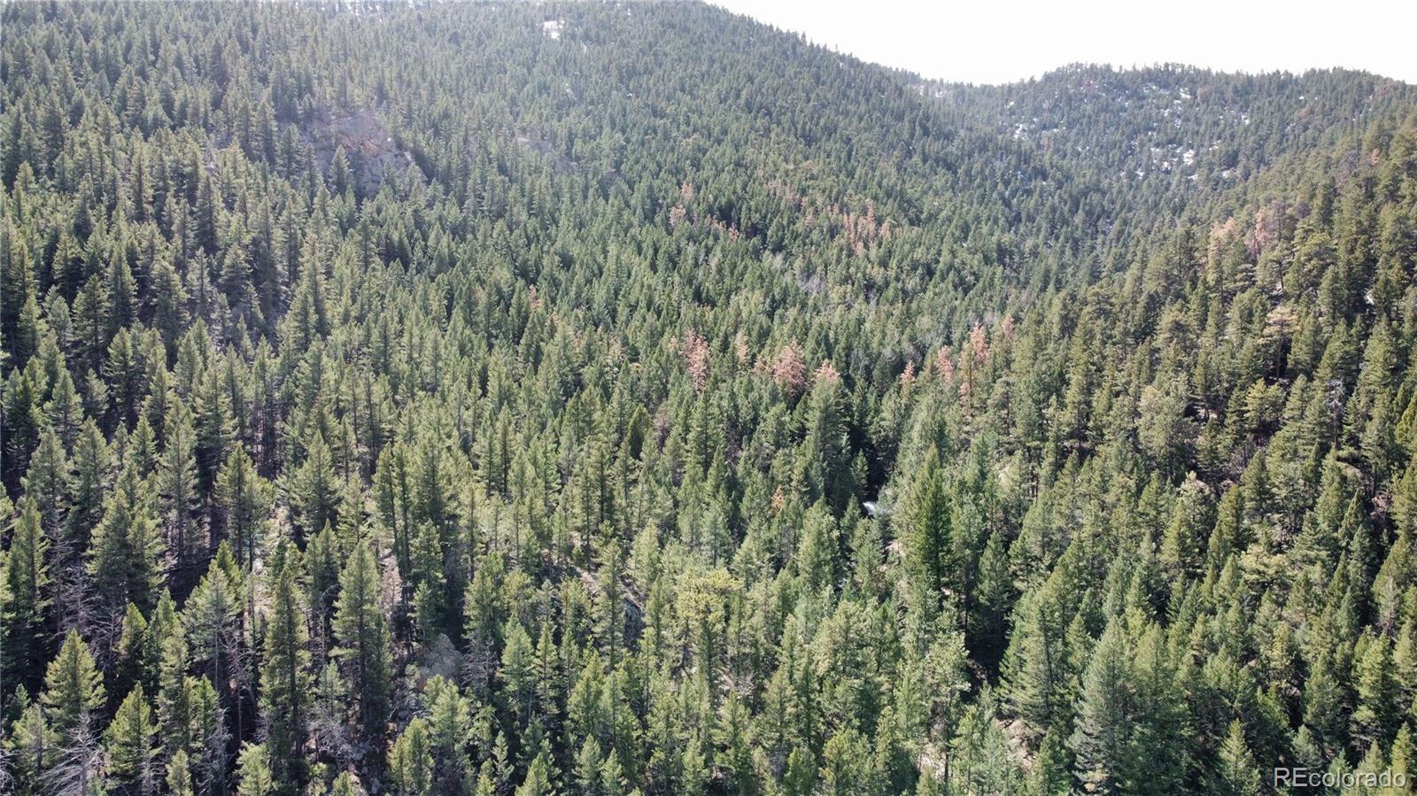 7893 Fourmile Canyon Drive