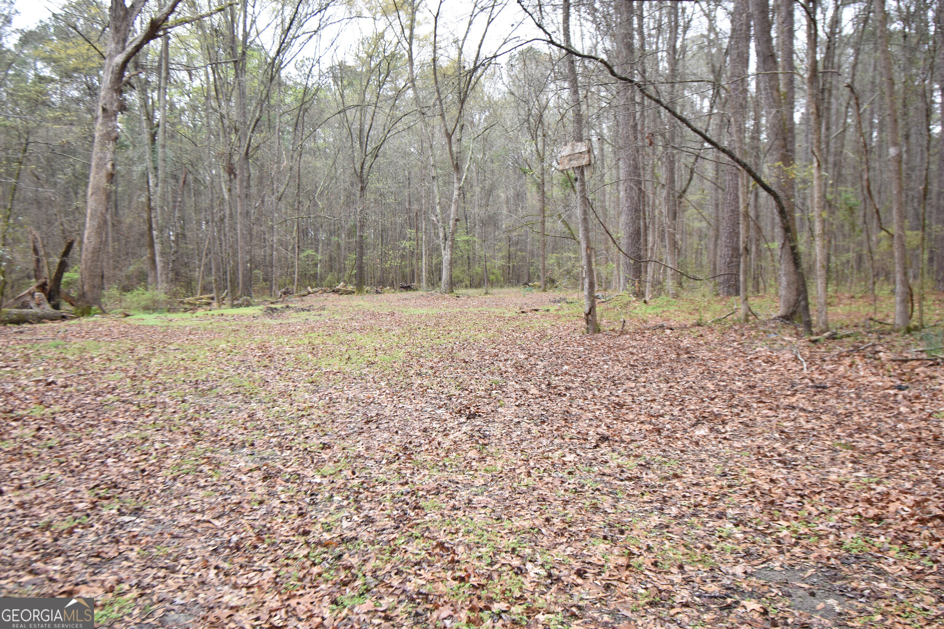 993 Cheatham Road